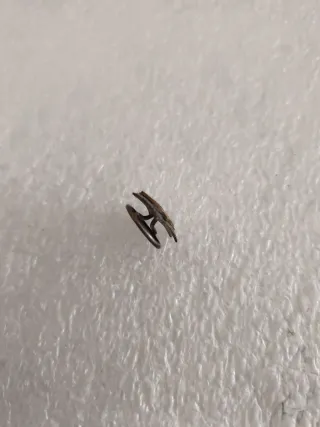 antigua insignia de justicia