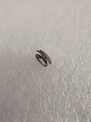 antigua insignia de justicia