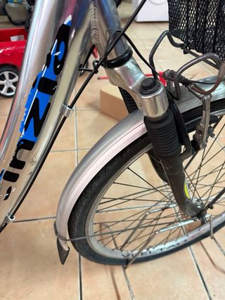 Bicicleta Paseo Wind-cinzia