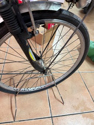 Bicicleta Paseo Wind-cinzia