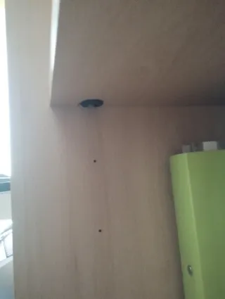 Estantería haya 3 baldas