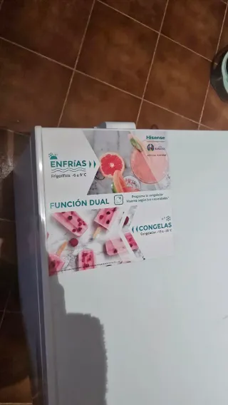 Arcón Congelador Hisense Dual
