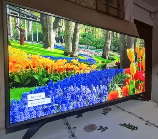TV LG 55 4K UHD Smart TV HDR10