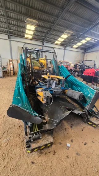 Recolecion de aceituna con paraguas