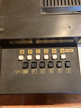 Órgano Eléctrico Chord Magnus