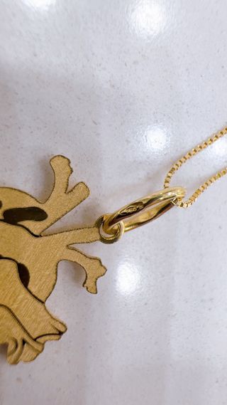 Collana Cuore Anatomico Oro 18kt 750
