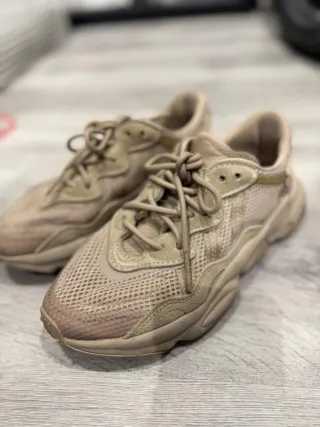 Lote de zapatillas originales (Adidas + Converse)