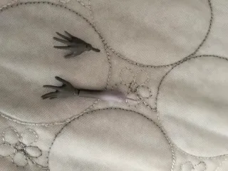 Manos y antebrazo Twyla Monster high