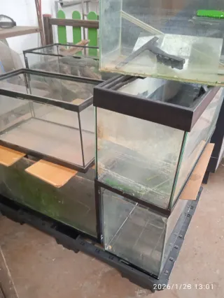 Peceras de cristal y plástico