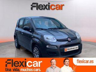 Fiat Panda Cross 0,9 63 kW (85 CV) TwinAir 4x4