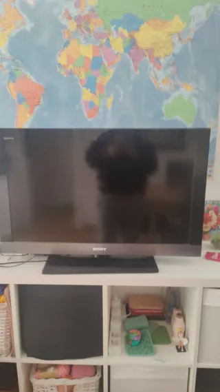 Televisor Sony Bravia 32 Negro