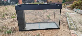 Acuario sin filtro Terrario Gecko