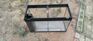 Acuario sin filtro Terrario Gecko