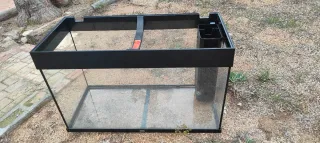 Acuario sin filtro Terrario Gecko