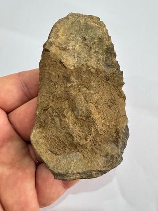 Trilobite Fósil Grande 11 cm
