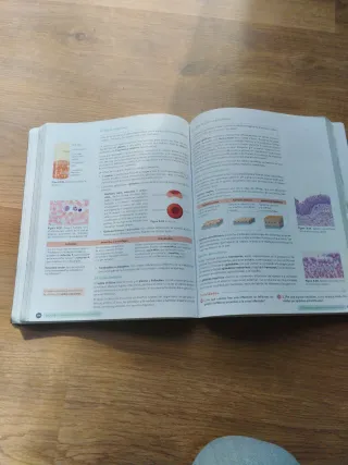 Biología, Geología y CC. Ambientales 1º Bachill...