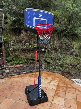 Canasta de baloncesto con base y red