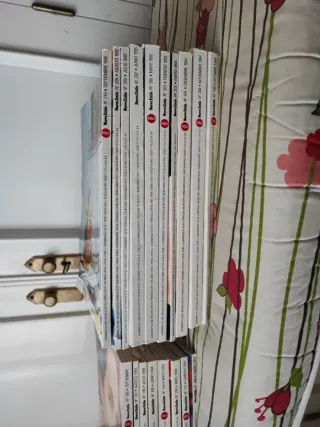 Revistas Nuevo Estilo y suplementos