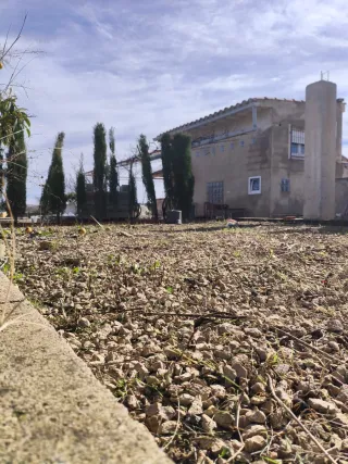 Finca rústica con casita en Reclin de Abajo bullas