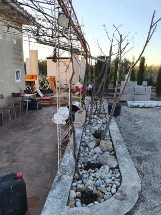 Finca rústica con casita en Reclin de Abajo bullas