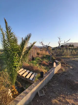 Finca rústica con casita en Reclin de Abajo bullas