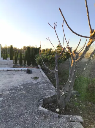 Finca rústica con casita en Reclin de Abajo bullas