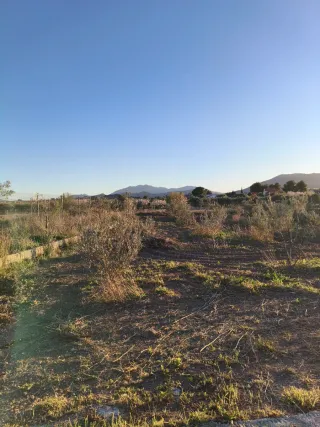 Finca rústica con casita en Reclin de Abajo bullas