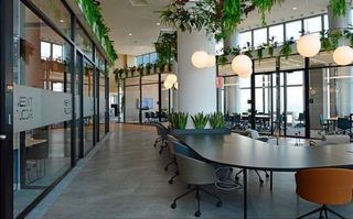 Oficina en alquiler en La Paz en Madrid