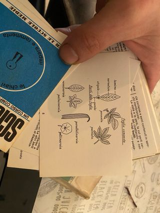 Corsi tascabili 1967