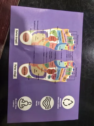 Masajeador de Pies de Reflexología - Nuevo