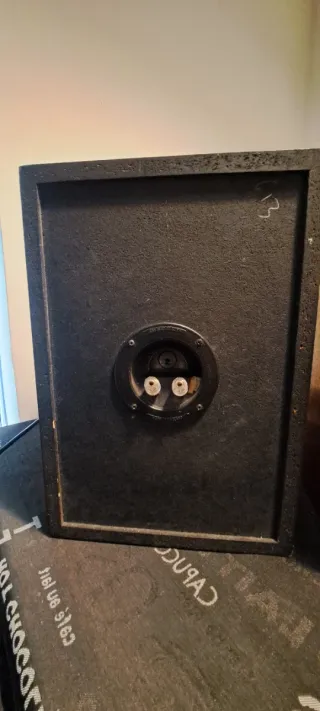 Altavoces Wharfedale Negros y Marrones