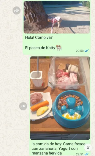 Cuidador de perros económico. 15€. Bcn area