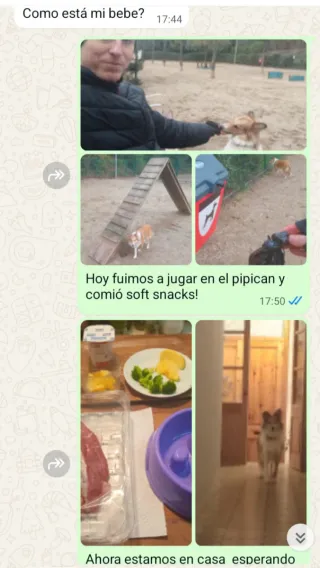 Cuidador de perros económico. 15€. Bcn area