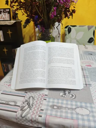 Derecho constitucional Volumen II: Los poderes ...