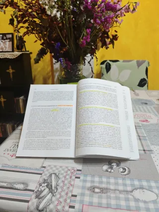 Derecho constitucional Volumen II: Los poderes ...