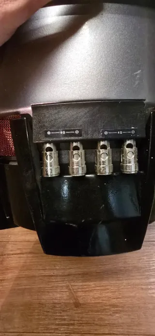 Subwoofer Pioneer 3000W Pico 1000W RMS