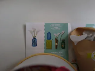 Mini Verse Botanical Figuras