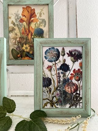 Lote cuadros verdes envejecidos botánica y hongos