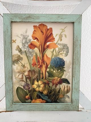 Lote cuadros verdes envejecidos botánica y hongos