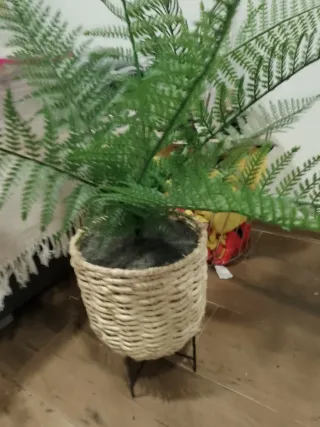 Maceta artificial helecho