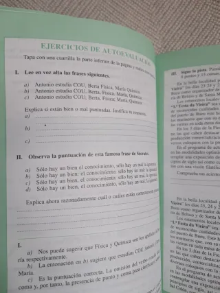 Ortografia: Norma Y Estilo