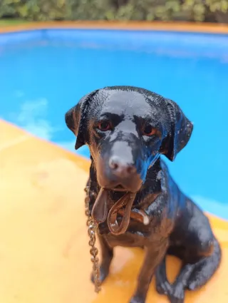 Figura cerámica perro labrador negro