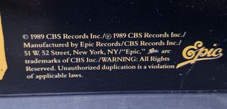 Suicidal Tendencies LP - Controlled By Hatred