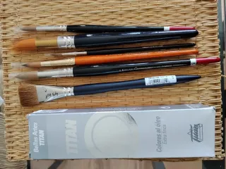 Set de 6 Pinceles de Artista  1 Bote color al oleo