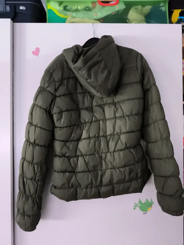 Cazadora acolchada verde
