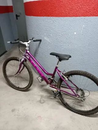 Bicicleta Morada Mujer