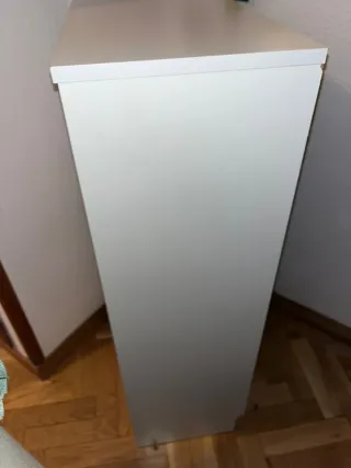 Zapatero BISSA Ikea 2 compartimentos