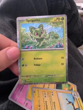 Cartas Pokémon