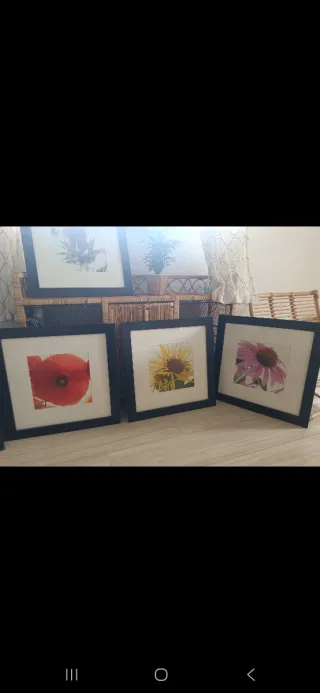 Set 5 Cuadros Flores Marco Madera 58x58