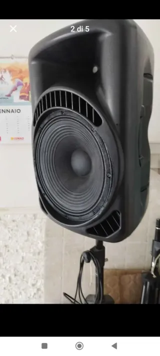 Cassa amplificata Street Audio